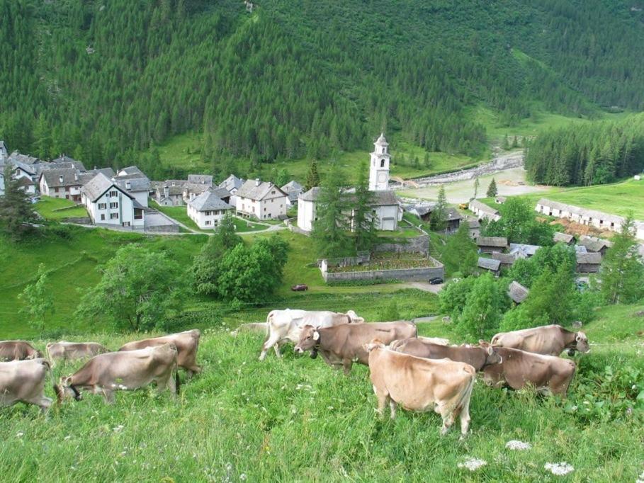 Casa Di Vacanza Giovanibosco المظهر الخارجي الصورة